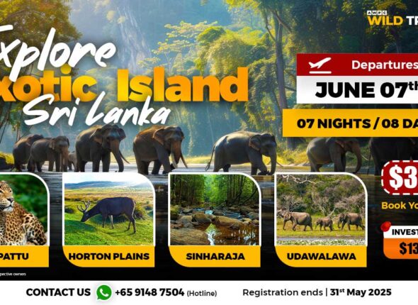 Explore-Exotic-Island_