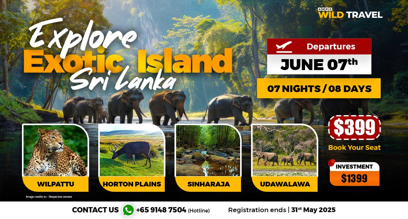 Explore-Exotic-Island_