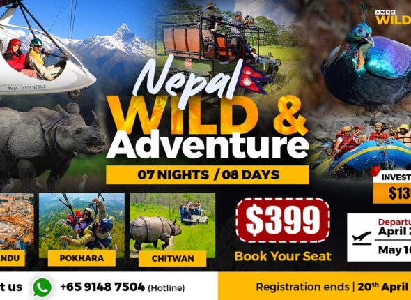 Wild-&-Adventure
