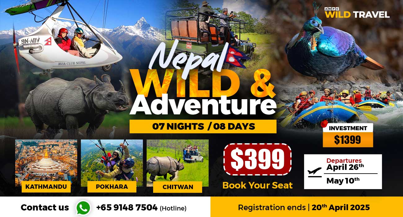 Wild-&-Adventure