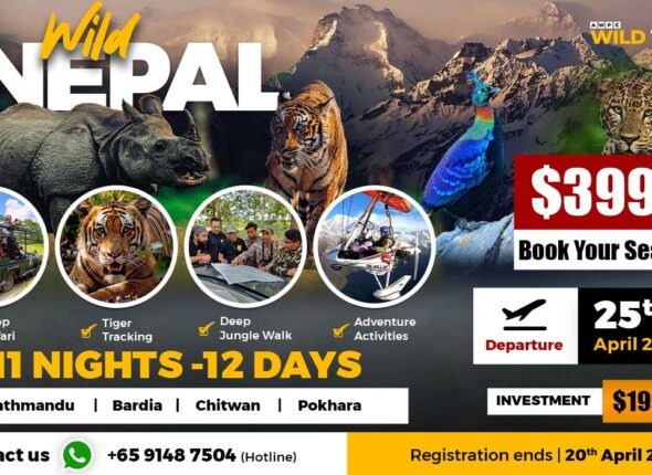 Wild-Nepal