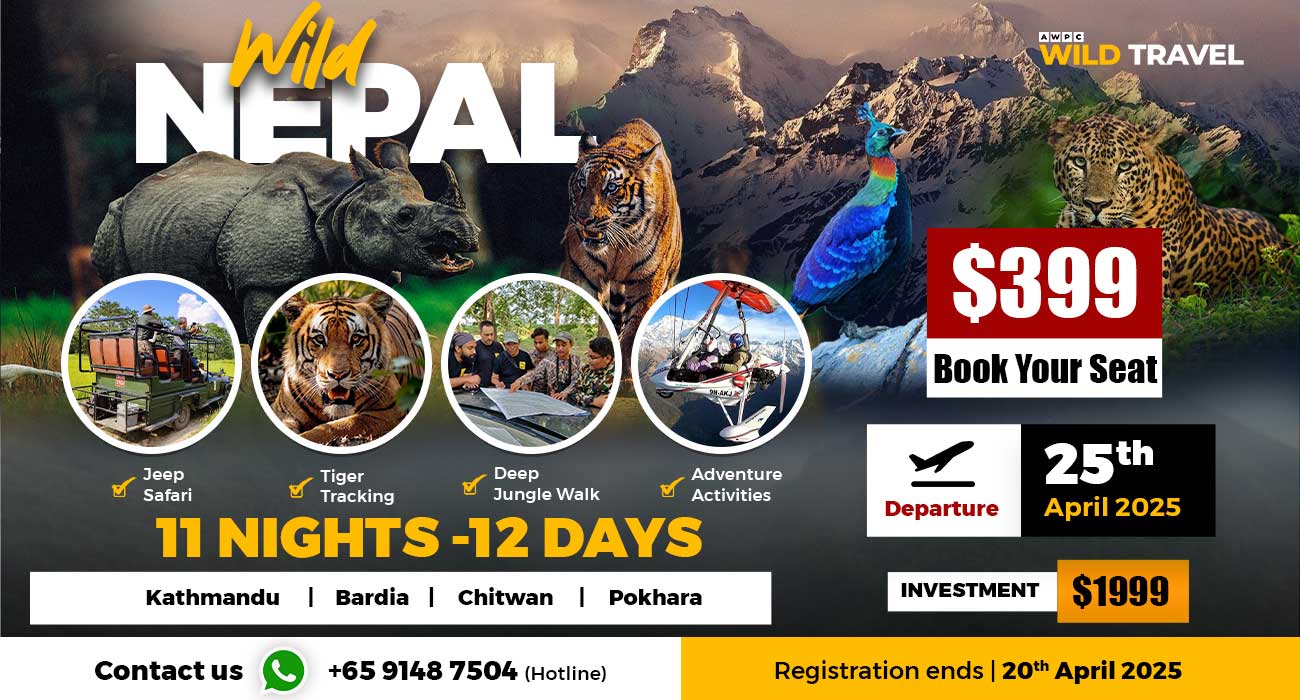 Wild-Nepal