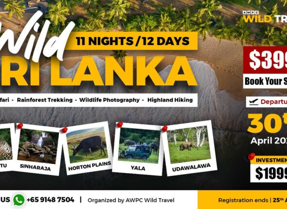 Wild-Sri-Lanka