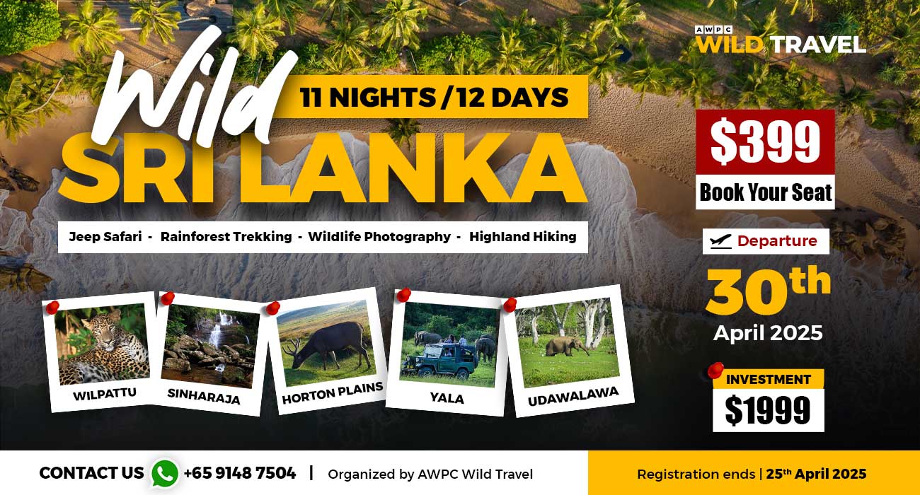 Wild-Sri-Lanka