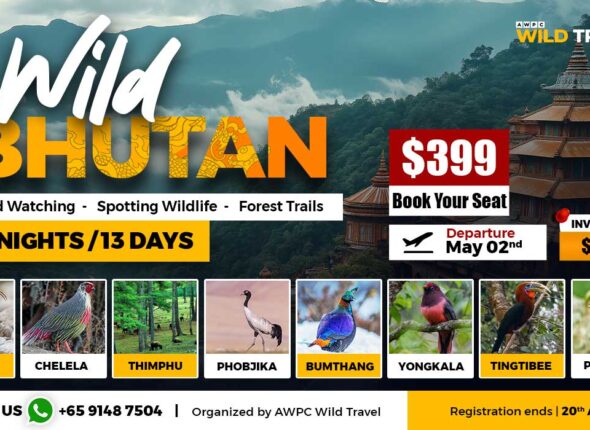 Wild-Bhutan