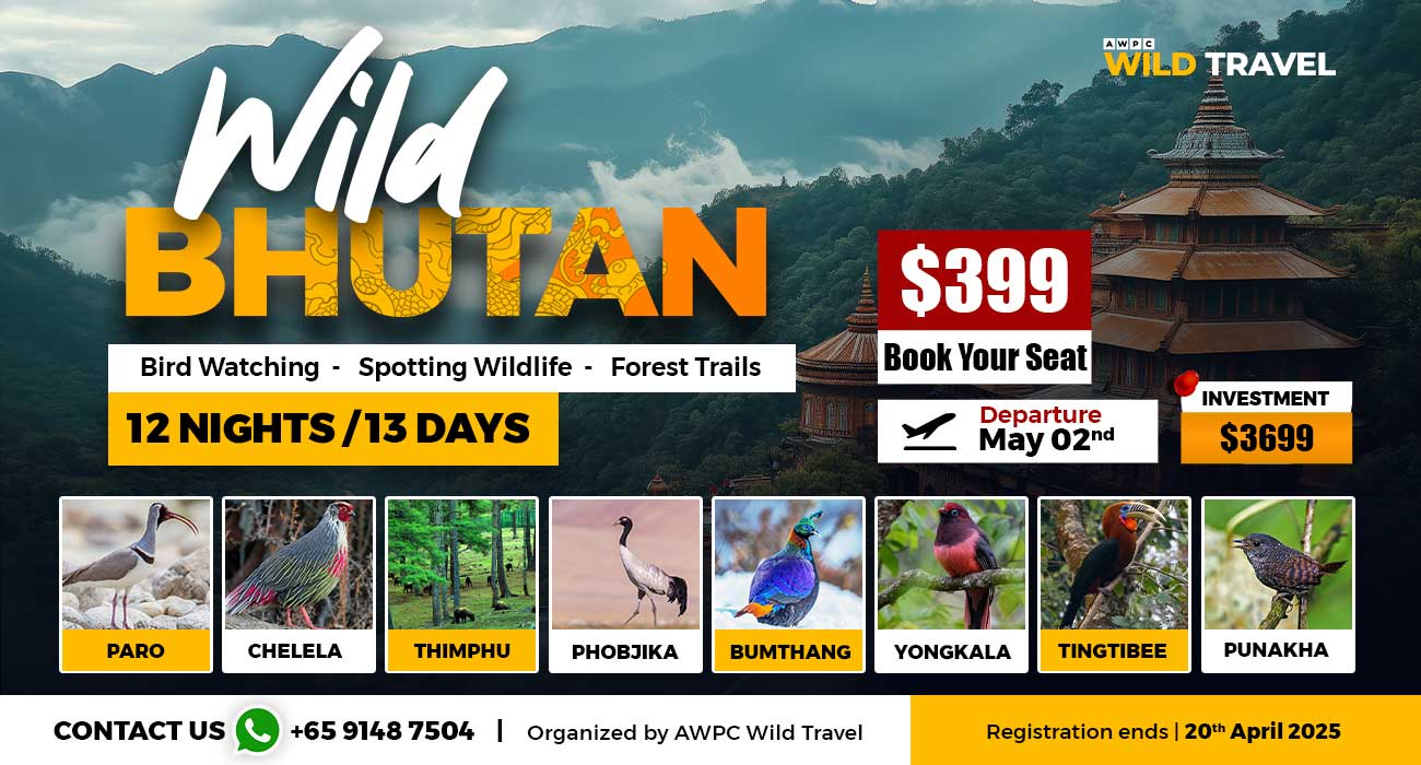 Wild-Bhutan